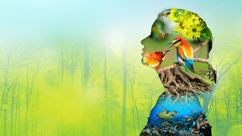 biodiversity